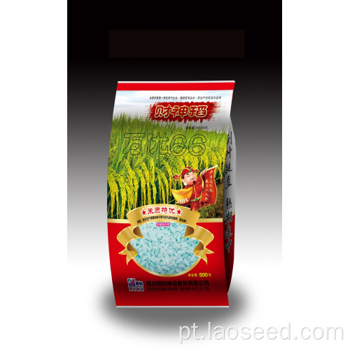 Semente de arroz de alta qualidade certificada